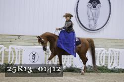 25R13_01412 thumbnail
