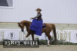 25R13_01414 thumbnail