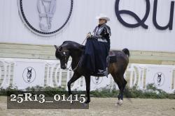 25R13_01415 thumbnail