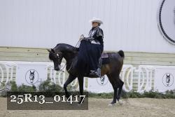 25R13_01417 thumbnail