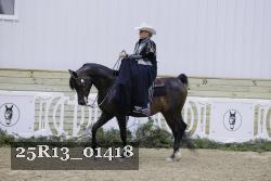 25R13_01418 thumbnail