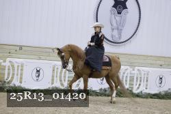 25R13_01420 thumbnail