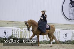 25R13_01421 thumbnail
