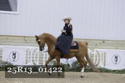 25R13_01422 thumbnail
