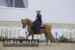 25R13_01423 thumbnail