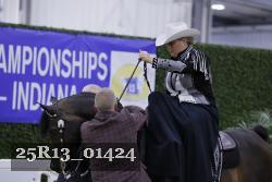 25R13_01424 thumbnail