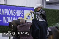 25R13_01425 thumbnail