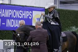 25R13_01426 thumbnail