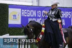 25R13_01431 thumbnail