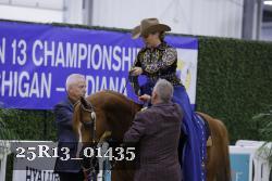 25R13_01435 thumbnail