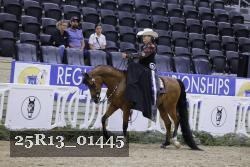 25R13_01445 thumbnail