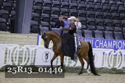 25R13_01446 thumbnail