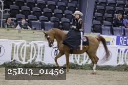 25R13_01456 thumbnail
