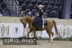 25R13_01457 thumbnail