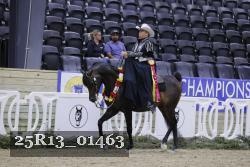 25R13_01463 thumbnail