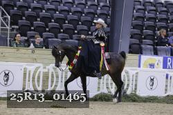 25R13_01465 thumbnail