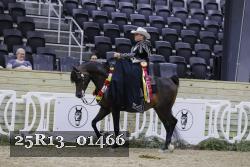 25R13_01466 thumbnail