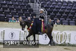 25R13_01467 thumbnail