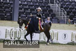 25R13_01468 thumbnail