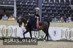 25R13_01469 thumbnail
