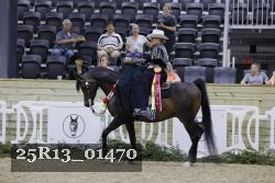 25R13_01470 thumbnail