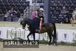 25R13_01472 thumbnail