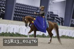 25R13_01476 thumbnail