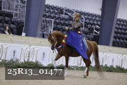 25R13_01477 thumbnail