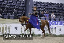 25R13_01481 thumbnail