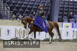 25R13_01482 thumbnail