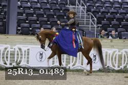 25R13_01483 thumbnail
