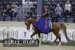 25R13_01484 thumbnail