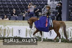 25R13_01485 thumbnail