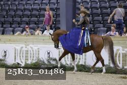 25R13_01486 thumbnail