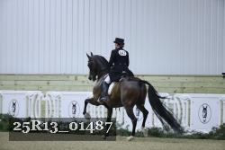 25R13_01487 thumbnail