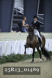 25R13_01489 thumbnail