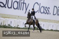 25R13_01491 thumbnail