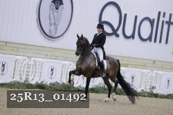 25R13_01492 thumbnail