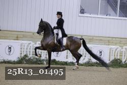 25R13_01495 thumbnail