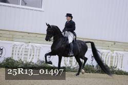 25R13_01497 thumbnail