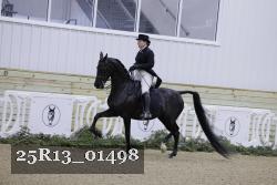 25R13_01498 thumbnail
