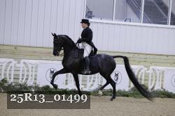 25R13_01499 thumbnail