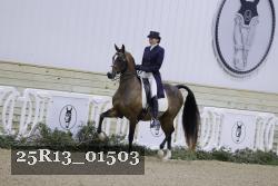 25R13_01503 thumbnail