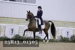25R13_01505 thumbnail