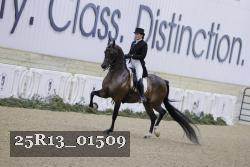 25R13_01509 thumbnail