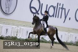 25R13_01510 thumbnail