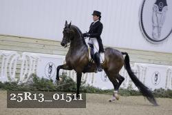 25R13_01511 thumbnail