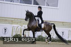 25R13_01512 thumbnail