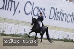 25R13_01513 thumbnail