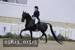25R13_01515 thumbnail